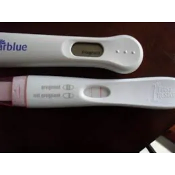Pregnency Test